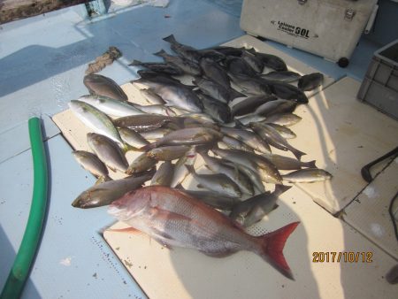 第十八吉栄丸 釣果