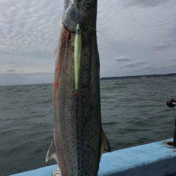 松鶴丸 釣果