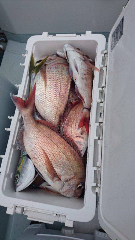 遊漁船ブルーウッズ 釣果