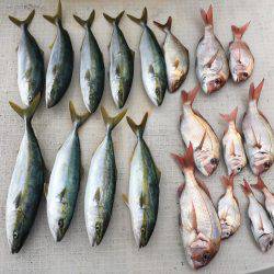 オーシャンズ 釣果