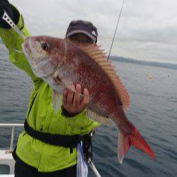 遊漁船ブルーウッズ 釣果