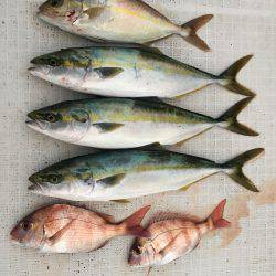 オーシャンズ 釣果