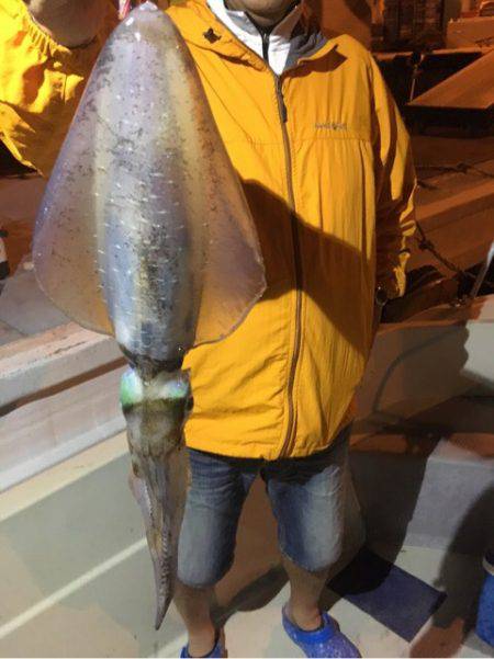 オーシャンズ 釣果