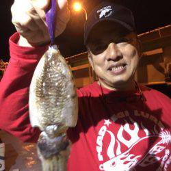 オーシャンズ 釣果