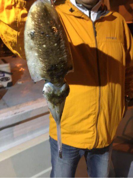 オーシャンズ 釣果