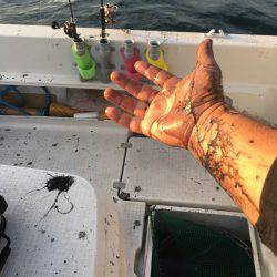 オーシャンズ 釣果