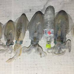 オーシャンズ 釣果