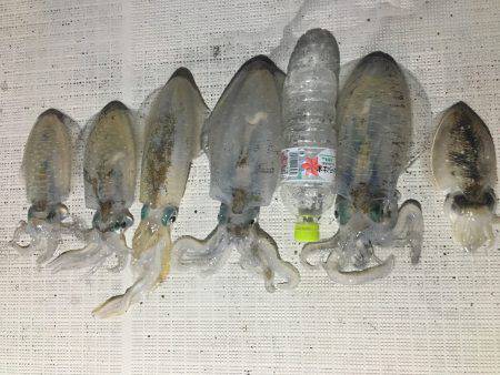 オーシャンズ 釣果