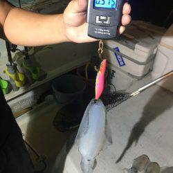 オーシャンズ 釣果