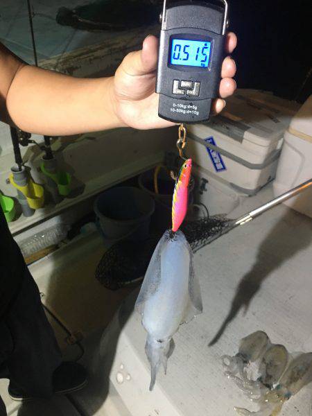 オーシャンズ 釣果