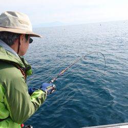 遊漁船ブルーウッズ 釣果