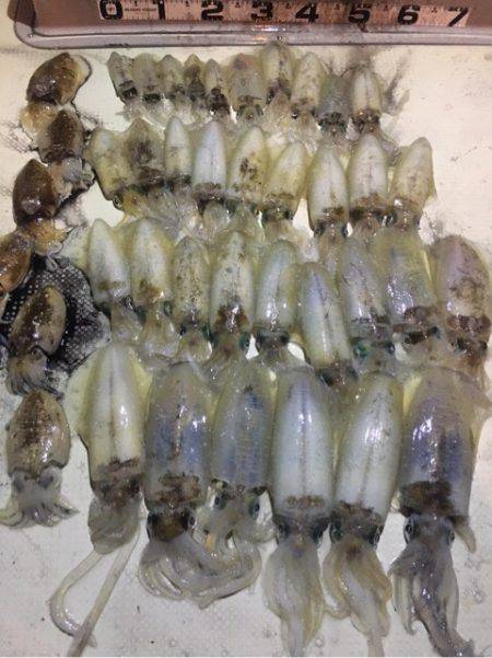 オーシャンズ 釣果