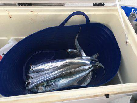 オーシャンズ 釣果