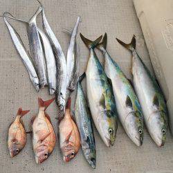 オーシャンズ 釣果