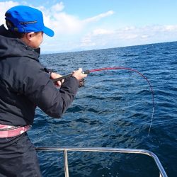 遊漁船ブルーウッズ 釣果