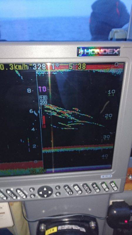 遊漁船ブルーウッズ 釣果