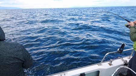 遊漁船ブルーウッズ 釣果