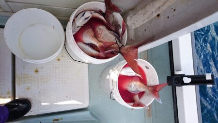 遊漁船ブルーウッズ 釣果