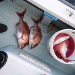 遊漁船ブルーウッズ 釣果