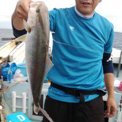 リトルワン 釣果