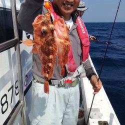 リトルワン 釣果