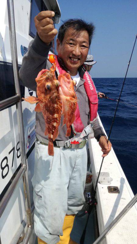 リトルワン 釣果