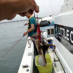 リトルワン 釣果