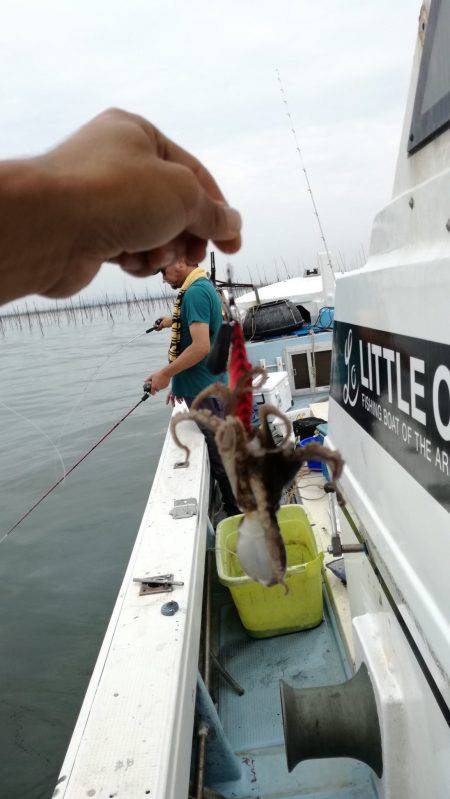 リトルワン 釣果