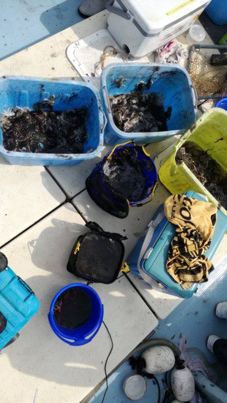 リトルワン 釣果