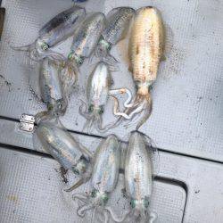 BlueOcean(ブルーオーシャン) 釣果