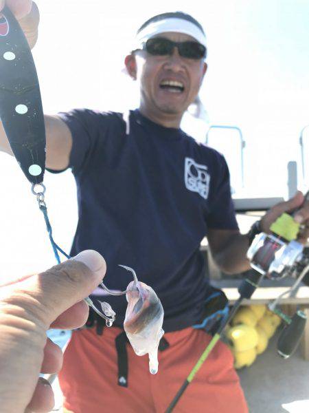 たいし丸 釣果