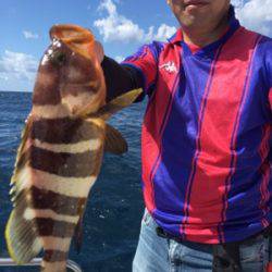 シーモンキー 釣果