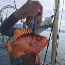 シーモンキー 釣果