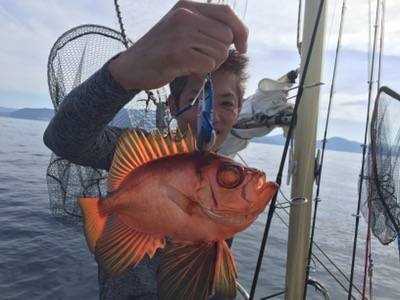 シーモンキー 釣果