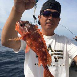 シーモンキー 釣果