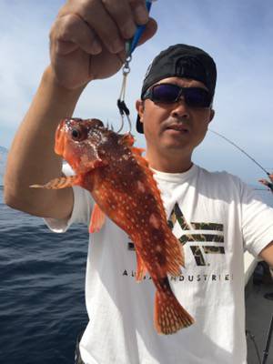 シーモンキー 釣果