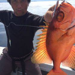 シーモンキー 釣果