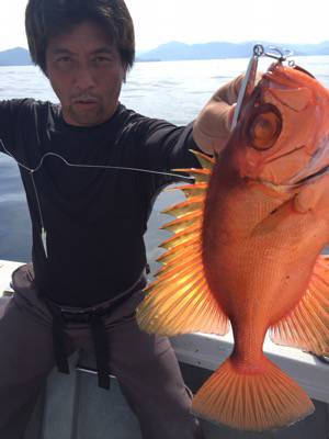 シーモンキー 釣果