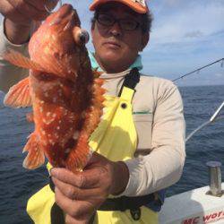 シーモンキー 釣果