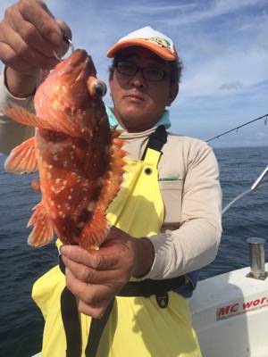 シーモンキー 釣果