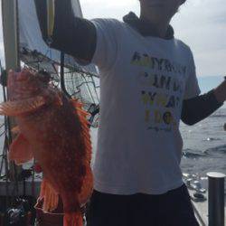 シーモンキー 釣果