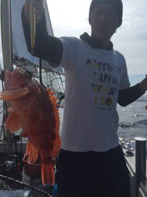 シーモンキー 釣果