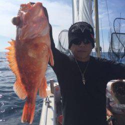 シーモンキー 釣果