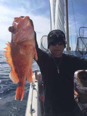 シーモンキー 釣果