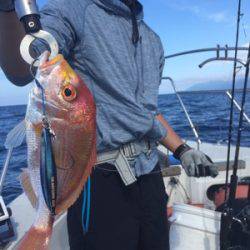 シーモンキー 釣果