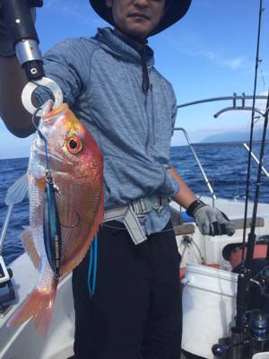 シーモンキー 釣果