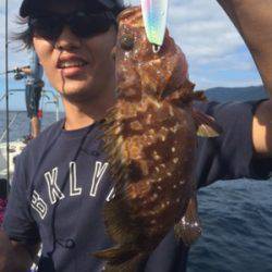 シーモンキー 釣果