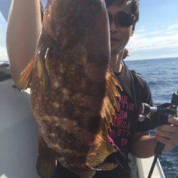 シーモンキー 釣果