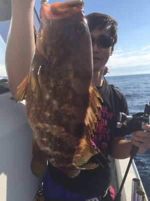 シーモンキー 釣果