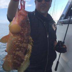 シーモンキー 釣果